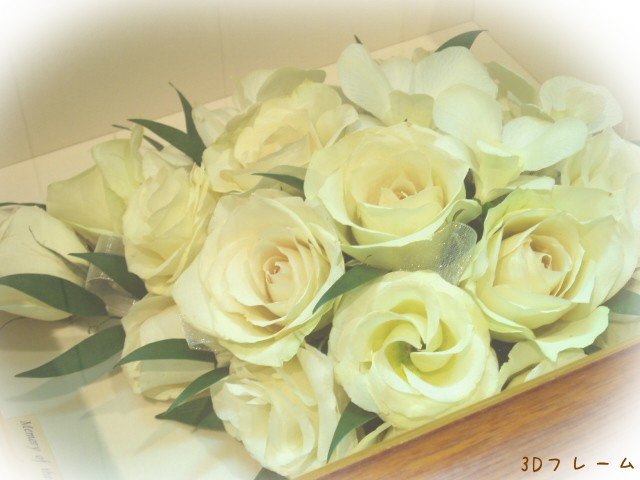 �u�[�P�̕ۑ��@�h���C�t�����[���H�̎ʐ^