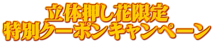 立体押し花限定 特別クーポンキャンペーン